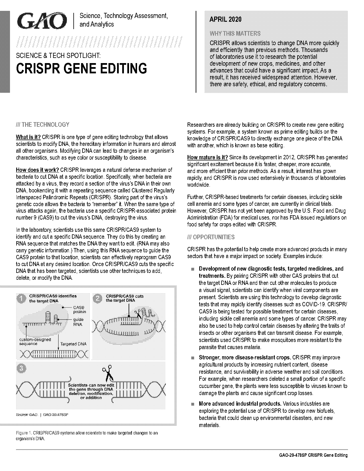 genetic modification genome editing and crispr