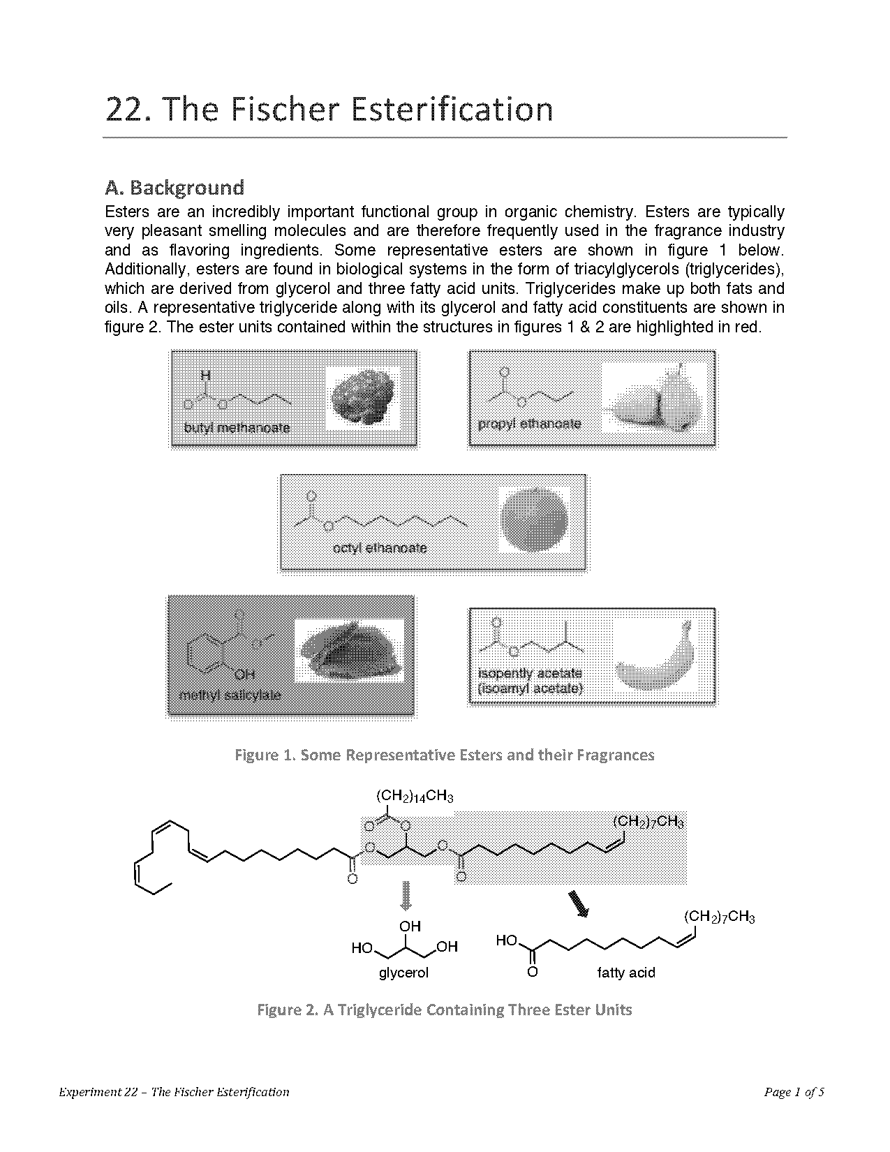 fischer esterification of acetic acid with isopentyl alcohol lab report