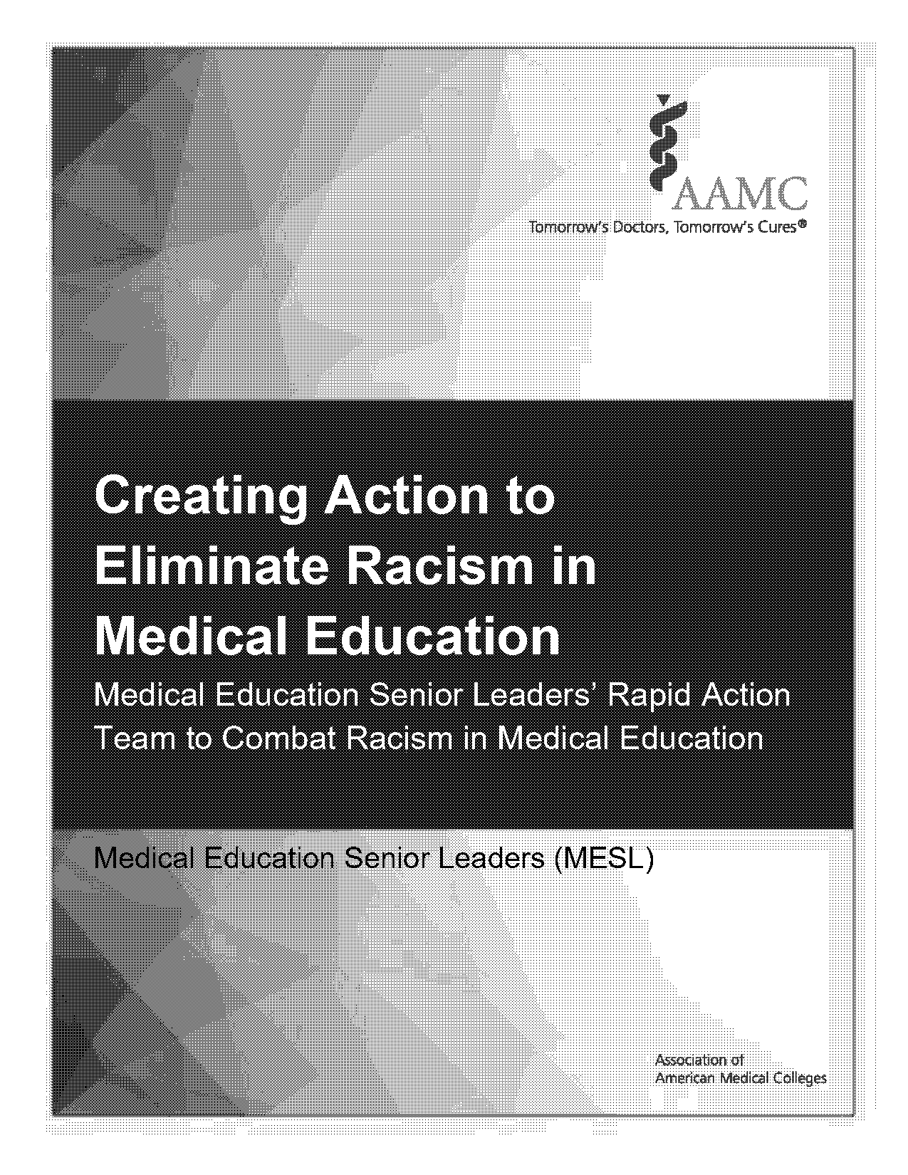 how policies and procedures perpetuate systemic racism in us schools