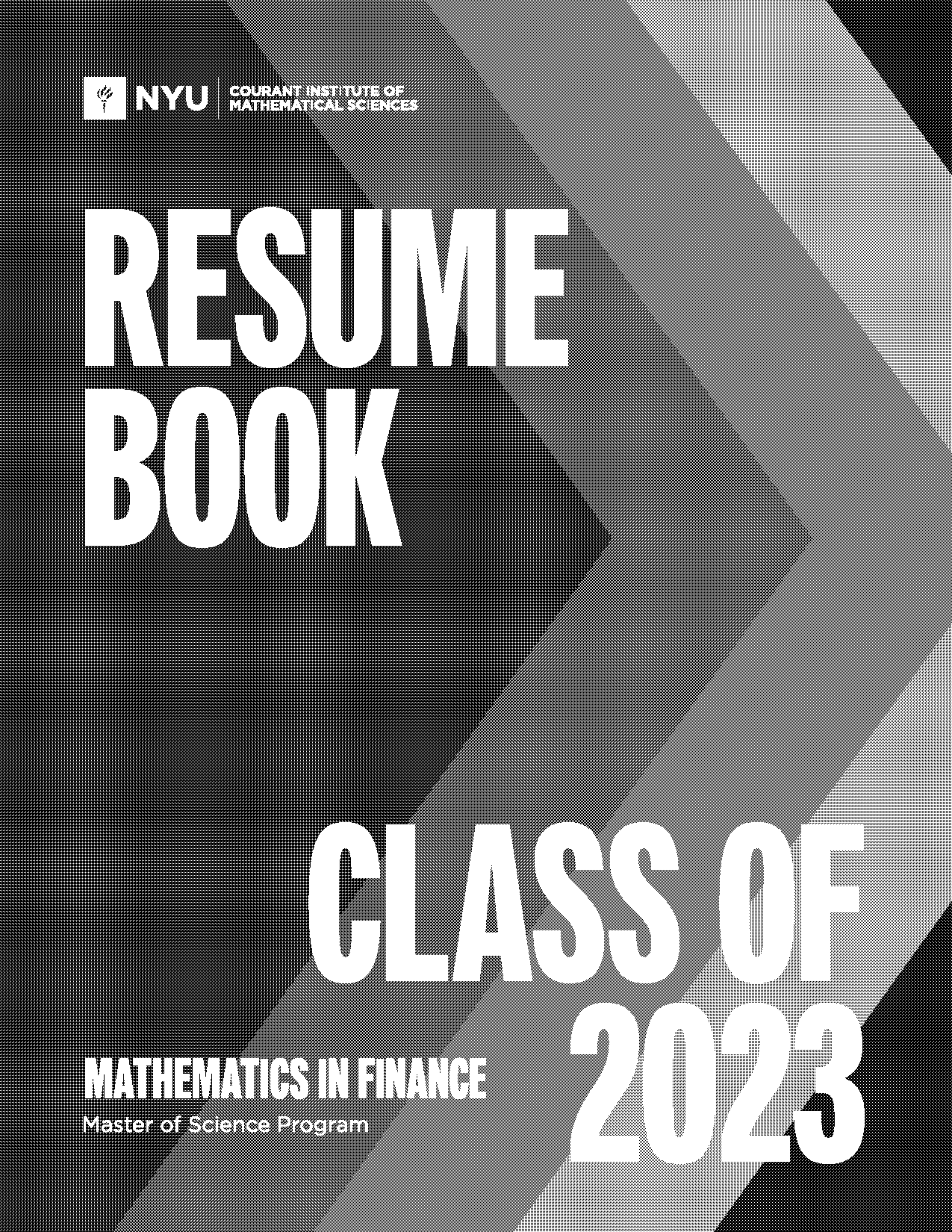 stern school of business resume book